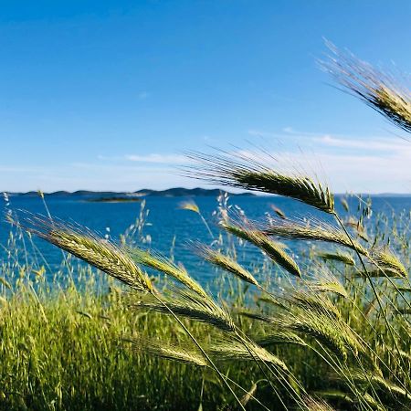Ecobeachvilla Buqez 9 Пакоштане Екстер'єр фото